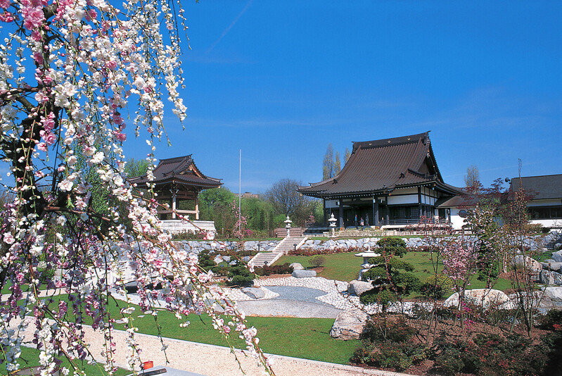 Jardim Japonês em Dusseldorf
